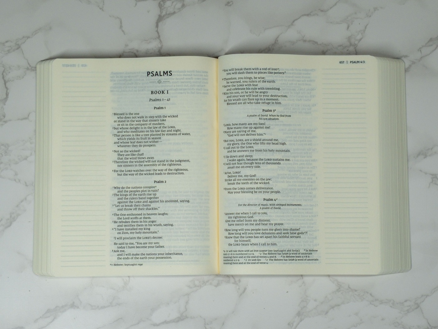 NIV Journaling inside pages, view 1